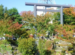 館前の風景