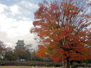 二の丸御殿跡から松本城天守閣を望む